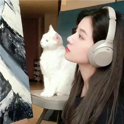 碧亨传:鬼怪的主人